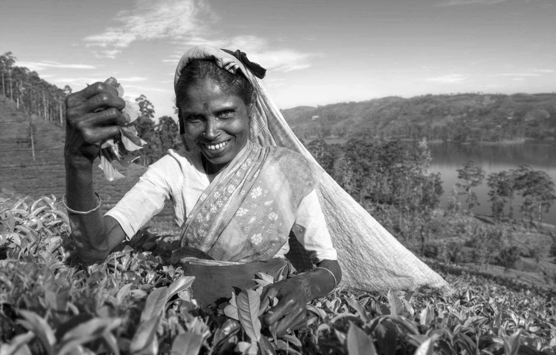 Ethical Tea Picker